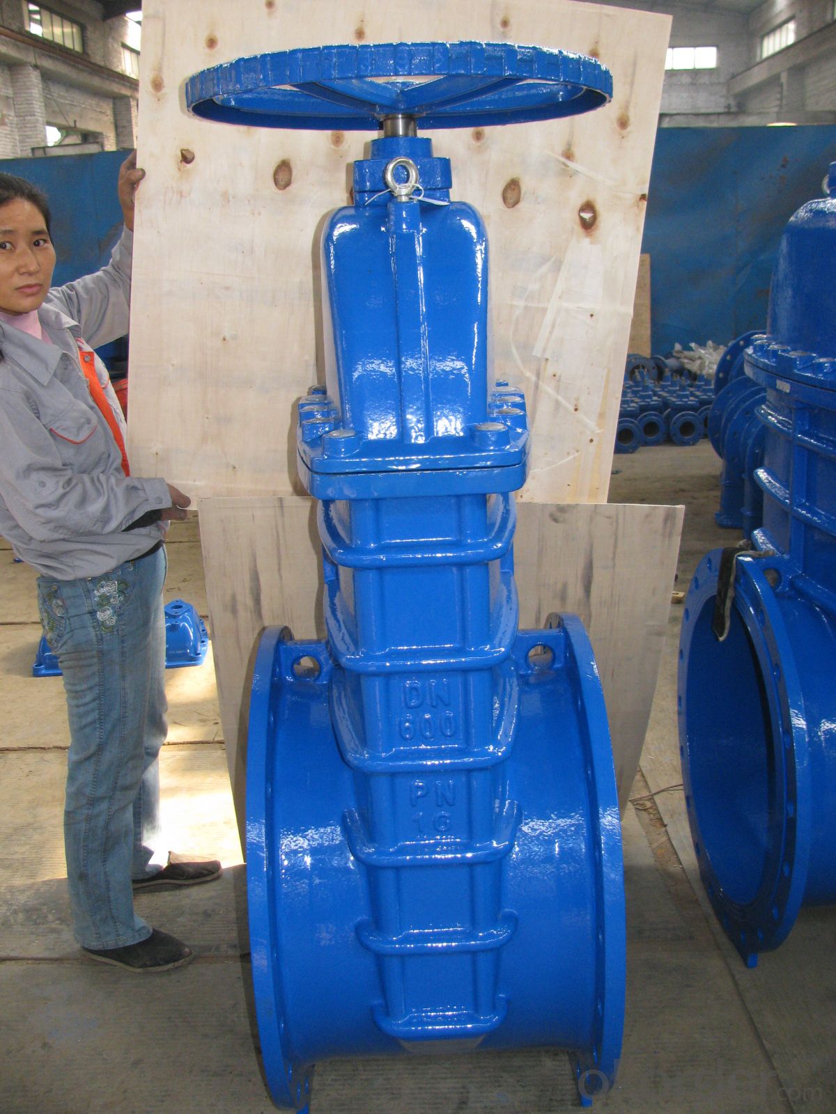 Ductile iron/ cast iron gate valve pn16