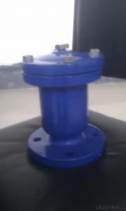 DIN Ductile/cast iron foot valve PN6