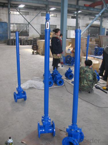 Ductile Iron Gate Valve PN16 Non Rising&Rising Stem System 1