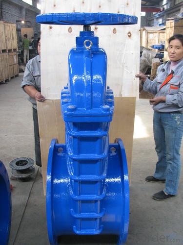 DIN3352 F4 RUBBER Gate Valve PN16 System 1