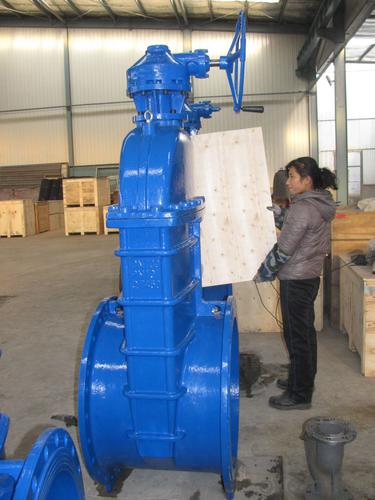 Ductile iron/ cast iron gate valve pn16 System 1