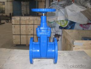 Ductile iron valve Action sensitive stainless steel 304