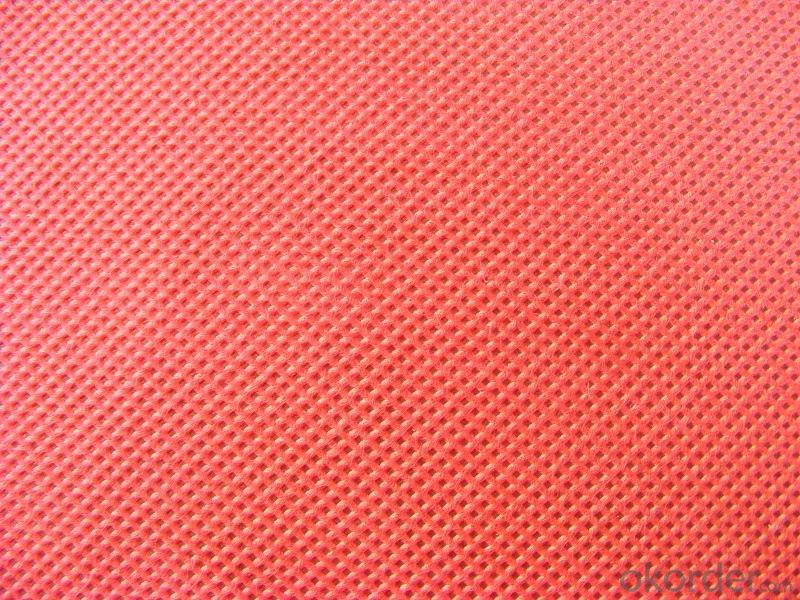 100% Polypropylene(PP) Spunbonded Nonwoven Fabric