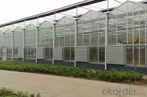 Multi-span greenhouses garden greenhouse polycarbonate System 1