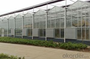 Multi-span greenhouses garden greenhouse polycarbonate