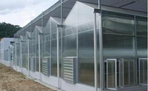 Commercial aeroponic greenhouse for vegetable fruit