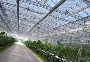 Greenhouse roofs with plastic polycarbonate sheet