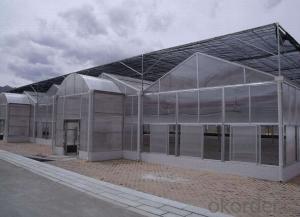 Multi-span polycarbonate green house for plant