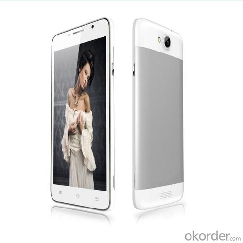 Mtk6592 Octa Core Smartphone 5inch Octa-Core 1.7GHz Android 4.4 Mobile Phone System 1