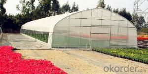 Single span plastic film greenhouse for sales
