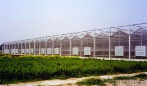 Glass Sheet Greenhouses for sales with low price