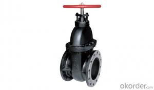 Manufacturer Stainless Steel mini Ball Valve in red color System 1