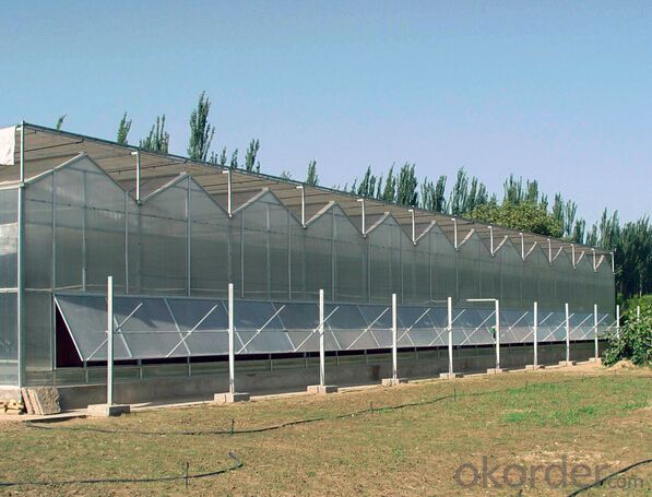 Cheap and hot sales glass greenhouse for vegetable