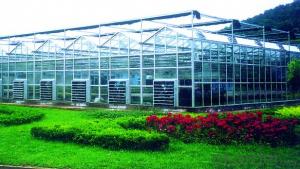 Agricultural glass greenhouse for vegetable and flower
