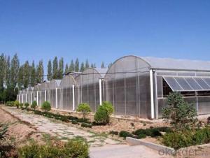 Large span glass greenhouse for vegetable