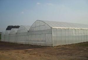 Economical PE film greenhouse for agriculture