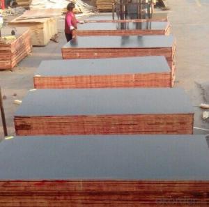 Formwork Plywood with Favorable Price used in Construction Building System 1
