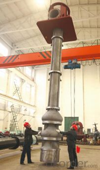 Long Shaft Vertical Turbine Sea Water Pump