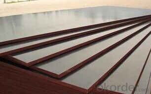 Formwork Plywood with Favorable Price used in Construction