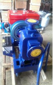 6inch Self Priming Centrifugal Diesel Engine  Water Pump System 1