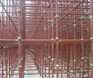 Perfect Performace for  Cup Lock Scaffolding