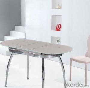 Popular Glass Dining Table with Chromed Frame System 1