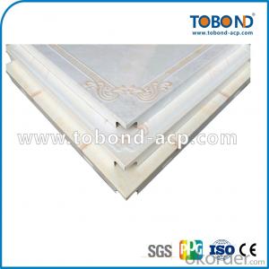 Ordinary power coating Project ceiling TOBOND