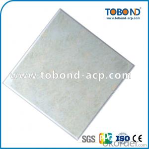 Ordinary power coating Project ceiling TOBOND System 1
