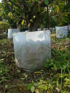 Landscaping  Durable Garden Pots Planters PE