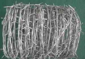 Barbed Wire Galvanized Barbed Iron Wire in IOWA Type