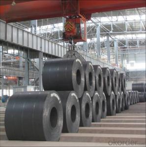 AISI, ASTM, BS, DIN, GB, JIS Cold Rolled Steel Coil System 1