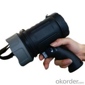 Holding a diving flashlight for deep sea diving