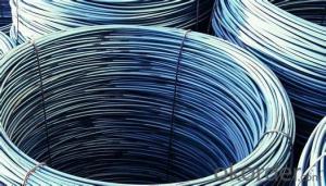 Hot Rolled Steel Wire Rod steel SAE1008 SAE1018  for Construction