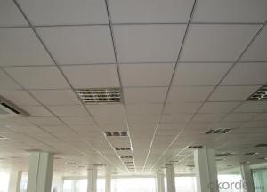 Hot Sale Mineral Fiber Ceiling Tiles from China System 1