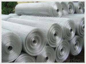 Galvanized and Pvc Coated Welded Wire Mesh from Factory Direct Price