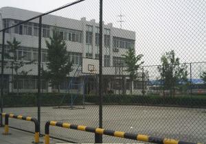 Chainlink Wire Mesh Wire Fencing with Low Price from Factory Directly