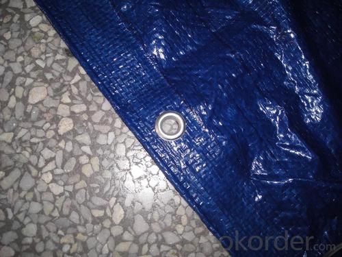 Green Plastic Netting for Garden - UV Protected PE Tarps for Outdoor Covers System 1