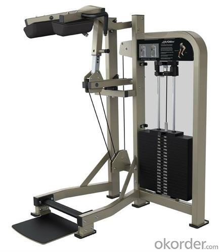 Fitness Equipment/Gym/Newest sell/ Standing Calf(SS14) System 1