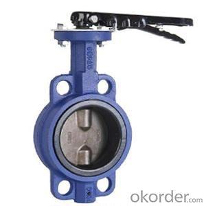 Ductile Iron wafer butterfly valves DN80 System 1