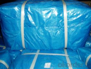 PE Tarpaulin, multi purpose poly tarp, blue poly tarp, pe canavas cover System 1