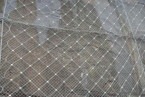 Protective mesh Metal Wire Mesh Good quality System 1