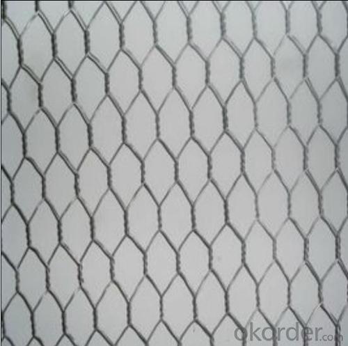 Hexagonal Wire Mesh Gabions Mesh PVC coated System 1