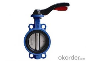 Butterfly Valves Ductile Iron Wafer Type DN800 System 1