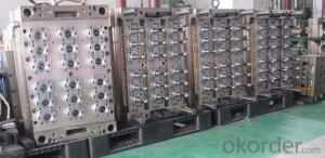 Wide Mouth PET Preform Mould Smart  Cheap High Quality System 1