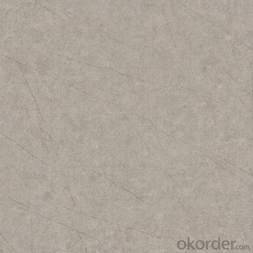 Glazed Porcelain Floor Tile 600x600mm CMAX-S6621 System 1