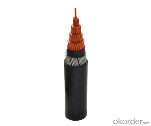 1E Class K3 Category Nuclear Power Station Used Signal Cable with Voltage up to 0.6/1kV System 1