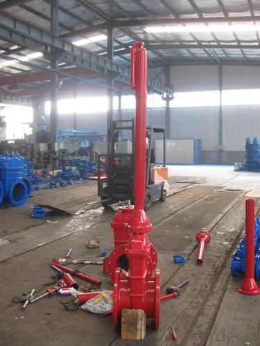 Gate Valve Rising Stem High Quality on Sale System 1