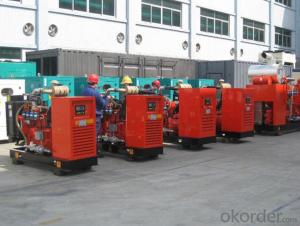 Natural Gas Engine Power Genset Diesel Generator 40kw - 600kw