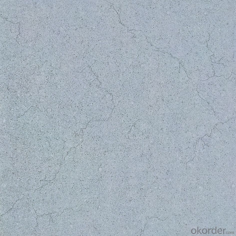 Glazed Porcelain Floor Tile 600x600mm CMAX-G6071