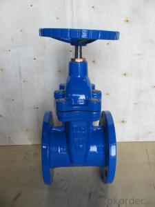 Gate Valve withCast Iron DN50~DN600 PN1.0/1.6MPa Resilient Seated Water